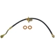 Purchase Top-Quality Front Brake Hose by DORMAN/FIRST STOP - H38623 pa4