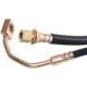 Purchase Top-Quality RAYBESTOS - BH381056 - Front Brake Hose pa15
