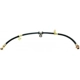 Purchase Top-Quality Front Brake Hose by RAYBESTOS - BH38831 pa11
