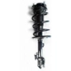 Purchase Top-Quality Front Complete Strut Assembly by WORLDPARTS STRUTS - W1333491L pa1