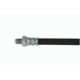 Purchase Top-Quality Rear Brake Hose by CENTRIC PARTS - 150.63387 pa3