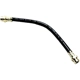 Purchase Top-Quality Rear Brake Hose by RAYBESTOS - BH381501 pa10