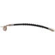 Purchase Top-Quality Rear Brake Hose by RAYBESTOS - BH38298 pa5
