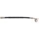 Purchase Top-Quality Rear Brake Hose by RAYBESTOS - BH38299 pa1