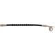 Purchase Top-Quality Rear Brake Hose by RAYBESTOS - BH38299 pa13