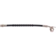 Purchase Top-Quality Rear Brake Hose by RAYBESTOS - BH38299 pa5