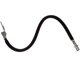 Purchase Top-Quality Rear Brake Hose by RAYBESTOS - BH383945 pa9