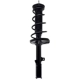 Purchase Top-Quality Rear Complete Strut Assembly by WORLDPARTS STRUTS - W1332369L pa1