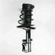 Purchase Top-Quality Rear Complete Strut Assembly by WORLDPARTS STRUTS - W1332369L pa2