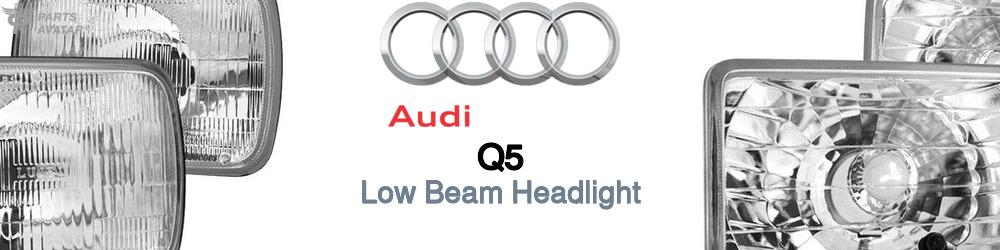 Discover Audi Q5 Low Beam Bulbs For Your Vehicle