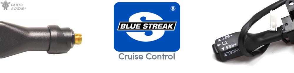 Discover Blue Streak (Hygrade Motor) Cruise Control For Your Vehicle