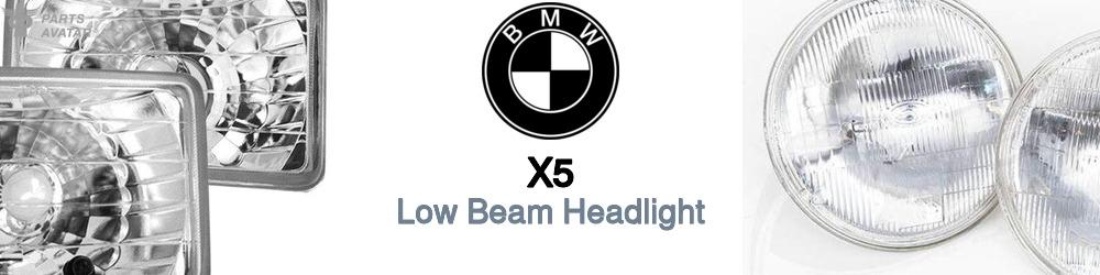 Discover BMW X5 Low Beam Bulbs For Your Vehicle