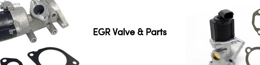 EGR Valve & Parts