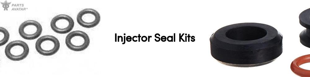Injector Seal Kits