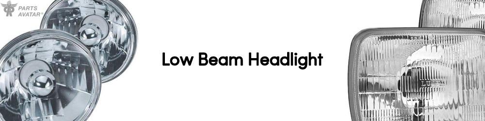 Low Beam Headlight