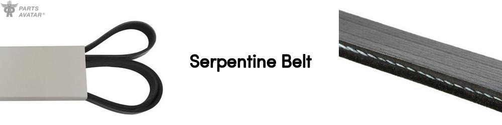 Serpentine Belt