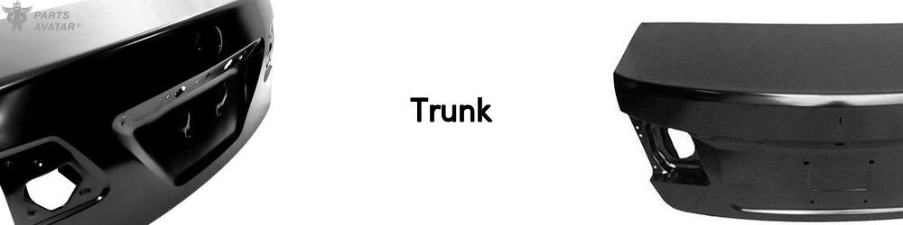 Discover Trunk For Your Vehicle
