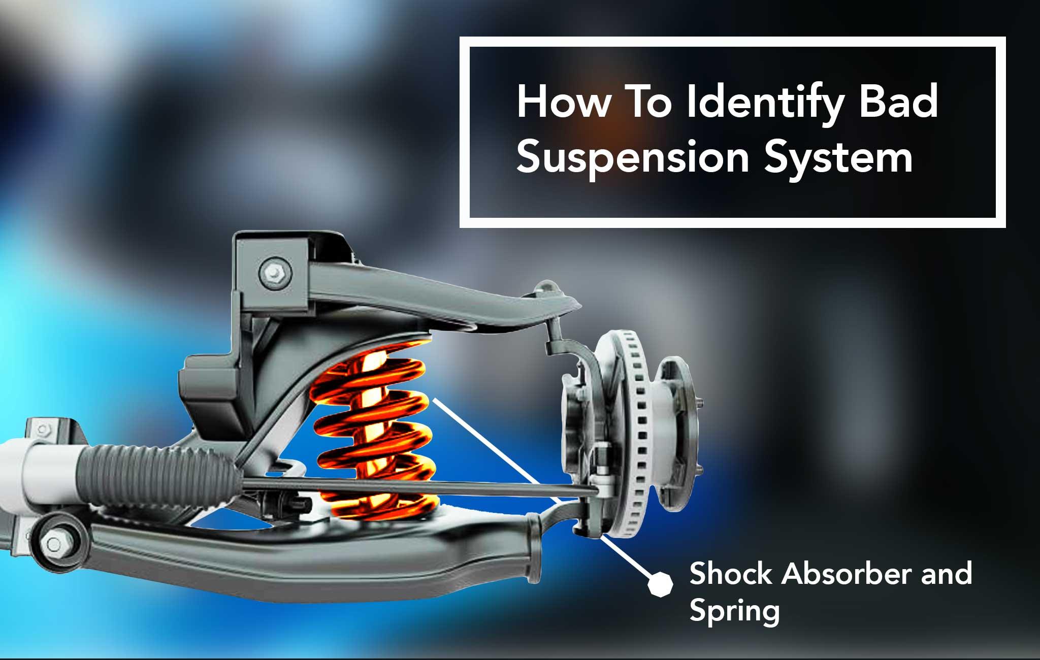 Shock Absorber and Spring