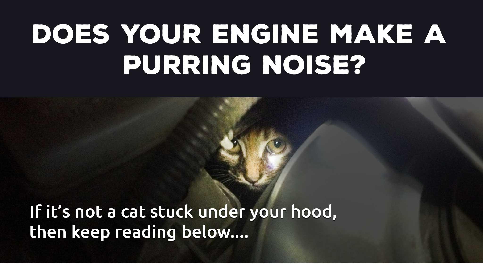 If it’s not a cat stuck under your hood, then keep reading below....