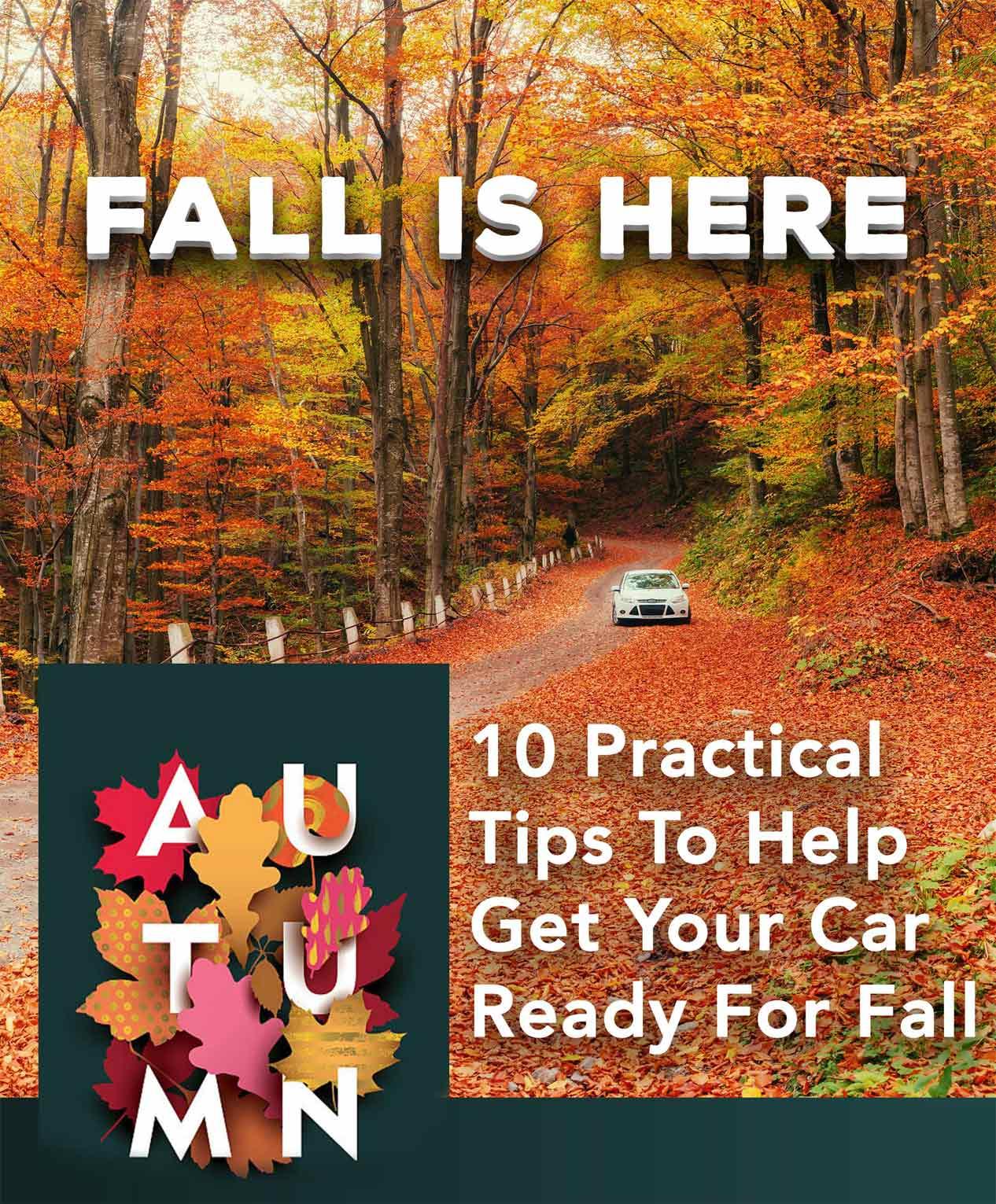 10 Practical Tips To Help Get Your Car Ready For Fall