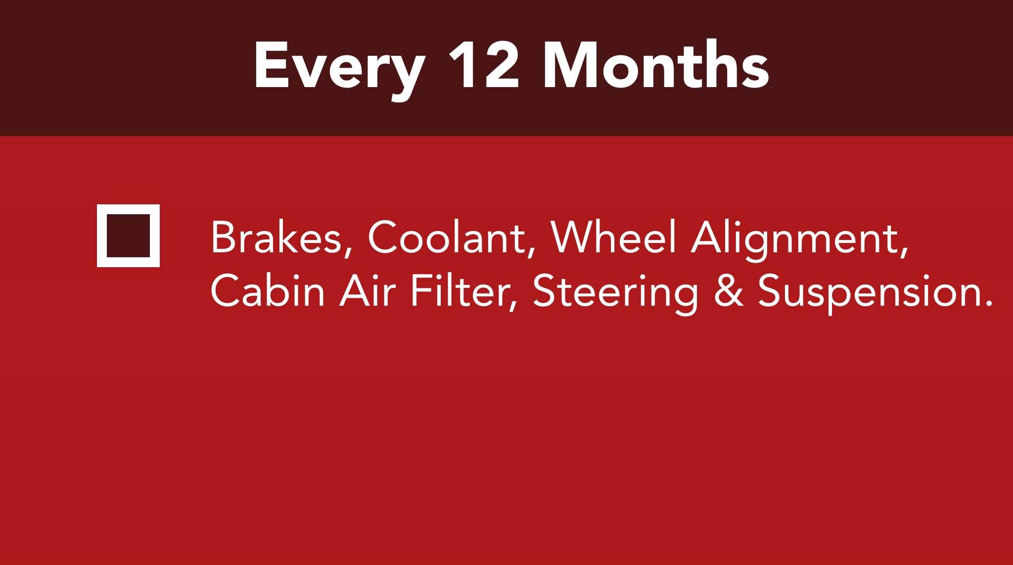 Brakes, Coolant, Wheel Alignment,  Cabin Air Filter, Steering & Suspension.