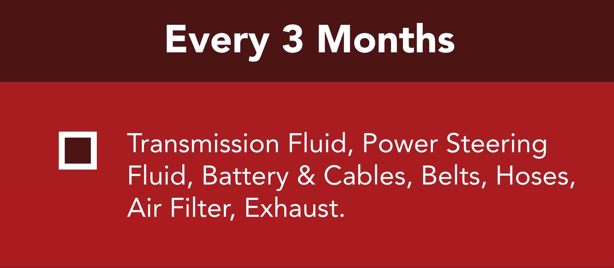 Transmission Fluid, Power Steering  Fluid, Battery & Cables, Belts, Hoses,  Air Filter, Exhaust.