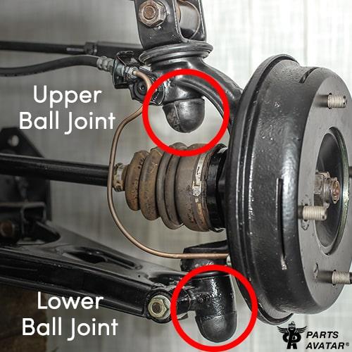 What Is Ball Joint Called In French