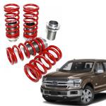 Enhance your car with Ford F150 Front Springs 