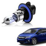 Enhance your car with Honda Odyssey Headlight & Parts 