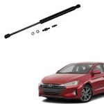 Enhance your car with Hyundai Accent Lift Support 