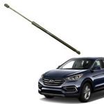 Enhance your car with Hyundai Santa Fe Sport Lift Support 