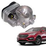 Enhance your car with Hyundai Santa Fe Throttle Body & Hardware 