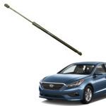 Enhance your car with Hyundai Sonata Lift Support 