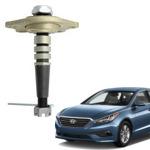 Enhance your car with Hyundai Sonata Upper Ball Joint 