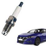 Enhance your car with 2017 Nissan Datsun Maxima Double Platinum Plug 