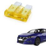 Enhance your car with Nissan Datsun Maxima Fuse 