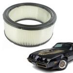 Enhance your car with Pontiac Firebird Air Filter 