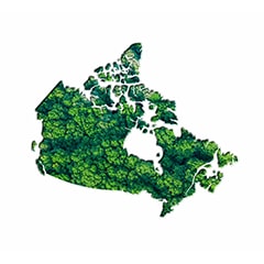 Sustainability In Canada Over The Years