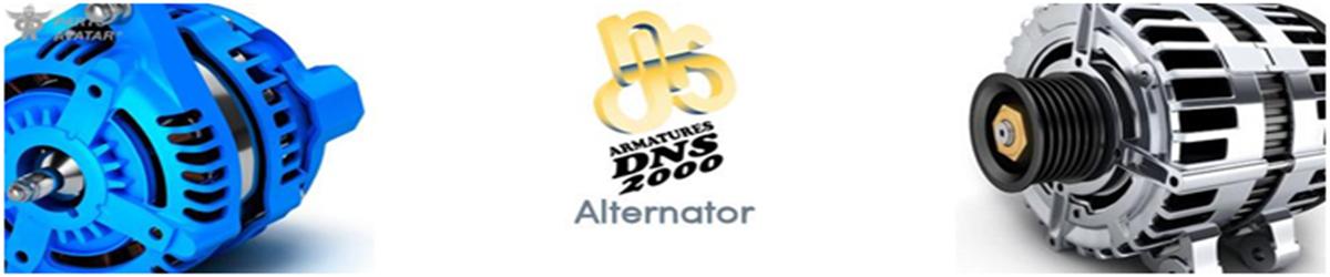 4.3 Armature DNS Alternators