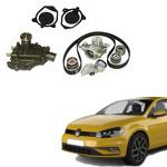 Enhance your car with Volkswagen Gold Water Pumps & Hardware 