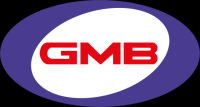 Boost Your Vehicle's Potential with GMB Parts