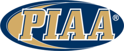 Boost Your Vehicle's Potential with PIAA Parts