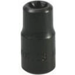 Order 1/4" Drive E8 External Torx Standard Alloy Steel Socket by LISLE - 26800 For Your Vehicle