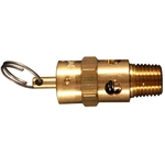 Order 1/4" (M) NPT Safety Valve for Air Compressor by MILTON INDUSTRIES INC - 1090-70 For Your Vehicle