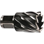 Order 13/16" HSS Annular Cutter by MILWAUKEE - 49-59-0812 For Your Vehicle