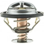 Order Thermostat 160F / 71C de MOTORAD - 7307-160 For Your Vehicle