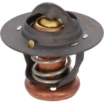 Order 160f/71c Thermostat by MOTORAD - MRD109 For Your Vehicle