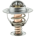 Order 170f/77c Thermostat by MOTORAD - 319-170 For Your Vehicle