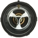 Order Thermostat 174f/79c by MOTORAD - 523-174 For Your Vehicle