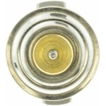 Order 181f/83c Thermostat by MOTORAD - 920-181 For Your Vehicle